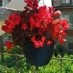 Meet your Posher, Beatriz